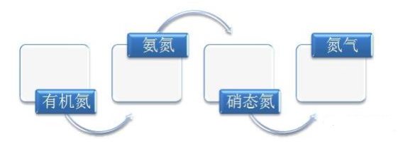 污水废水处理总氮去除方式